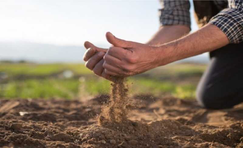 متحدث الأوقاف: سعر الإيجار الجديد لأراضي الأوقاف أقل من السوق 10-15%