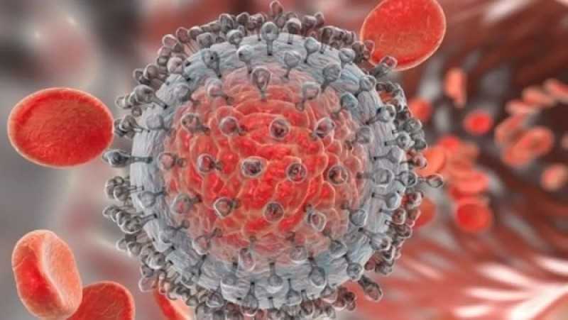 كيف نجحت مصر في القضاء على فيروس سي؟