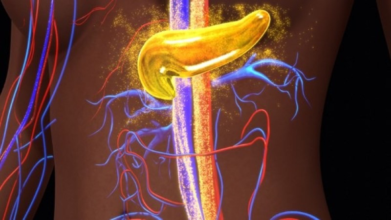 اكتشاف واعد قد يوقف السكري قبل بدايته