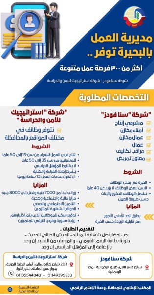 البحيرة توفر 306 فرص عمل جديدة برواتب مجزية للشباب