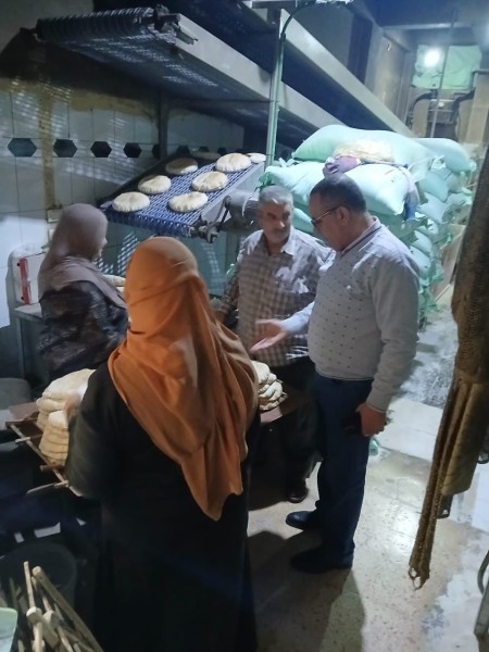 الدقهلية: ضبط 640 كيلو عسل ولحوم وتحرير 128 مخالفة