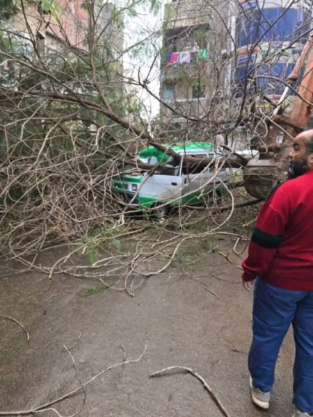 حادث مفاجئ بدمنهور.. شجرة تسقط على سيارة أجرة وتصيب قائدها