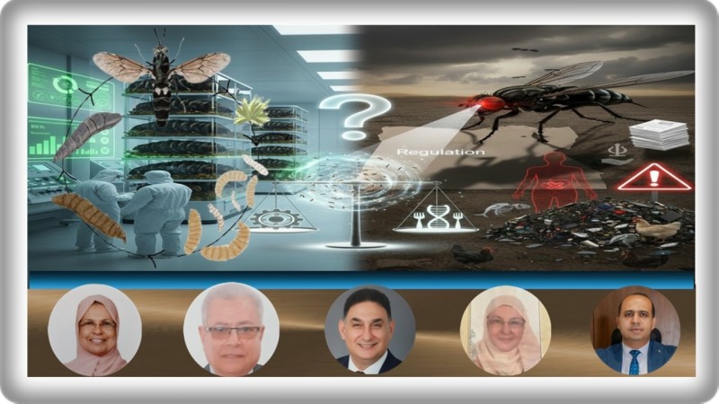 ذباب الجندي الأسود في مصر يثير جدلا بيولوجيا وغذائيا واسعا