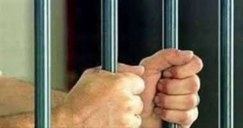 بسبب تنمره على خريجة من ذوي الهمم .. حبس أستاذ جامعي وتغريمه ١٠٠ ألف جنيه