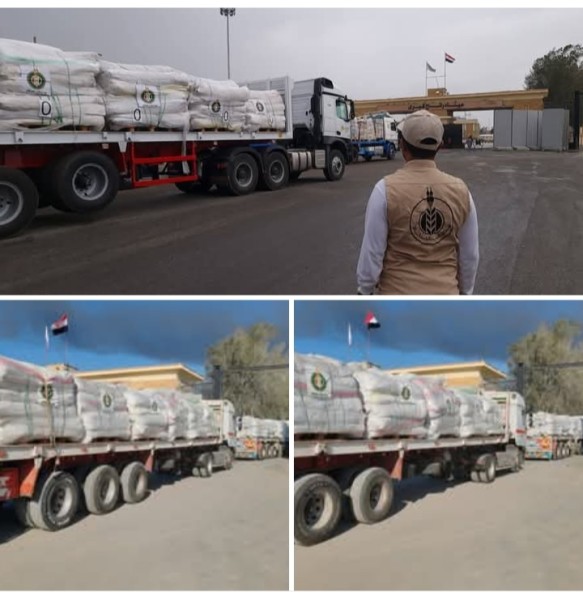 دخول القافلة الإغاثية الثالثة عشر إلى اهلنا بغزة عبر ميناء رفح