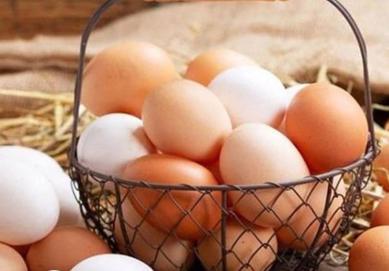 الزراعة: لدينا اكتفاء ذاتي كامل في البيض