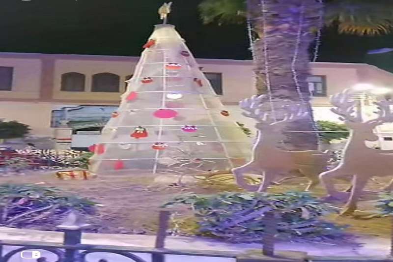 المنيا تتزين بشجرة كريسماس عملاقة للاحتفال بعيد الميلاد