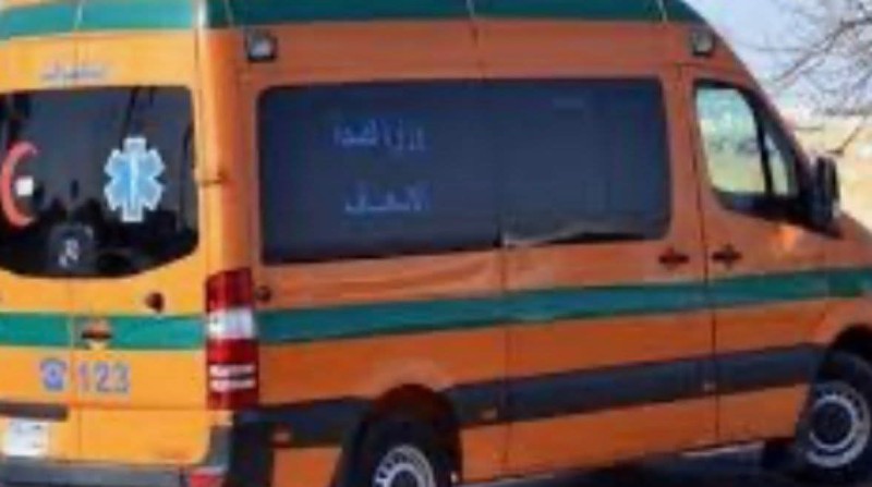 ضبط شخصين أصابا تاجر أسماك بطلق ناري في الدقهلية