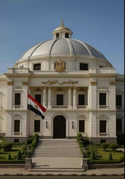 ماذا يحدث إذا انتفت الصفة الحزبية عن نائب فردي حزب