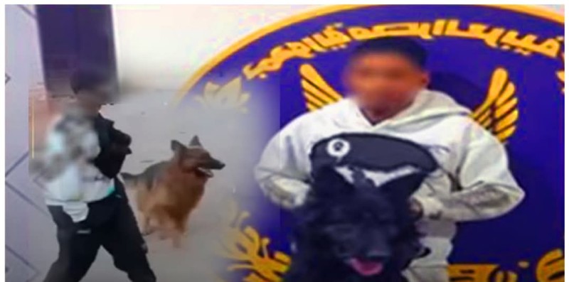 القبض على شخص أطلق كلب على رجل مسن