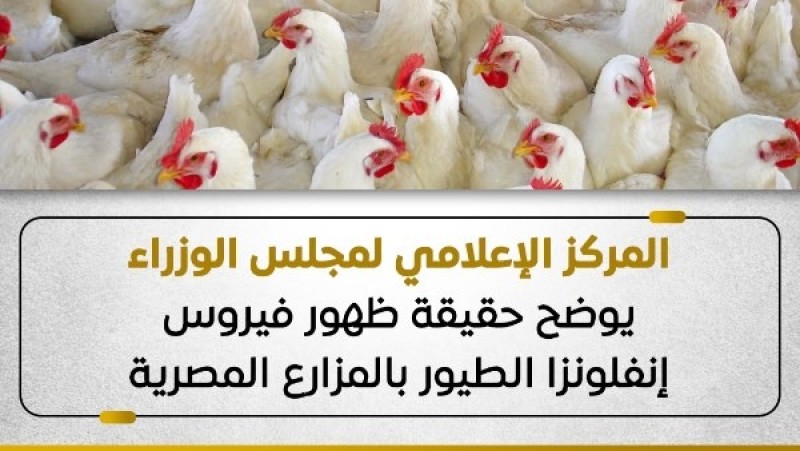 حقيقة ظهور فيروس إنفلونزا الطيور بالمزارع