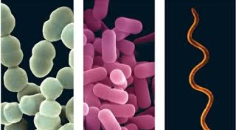 ضوء غير مرئي ينبعث من الكائنات الحية.. هل تتوهج الحياة في الخفاء؟