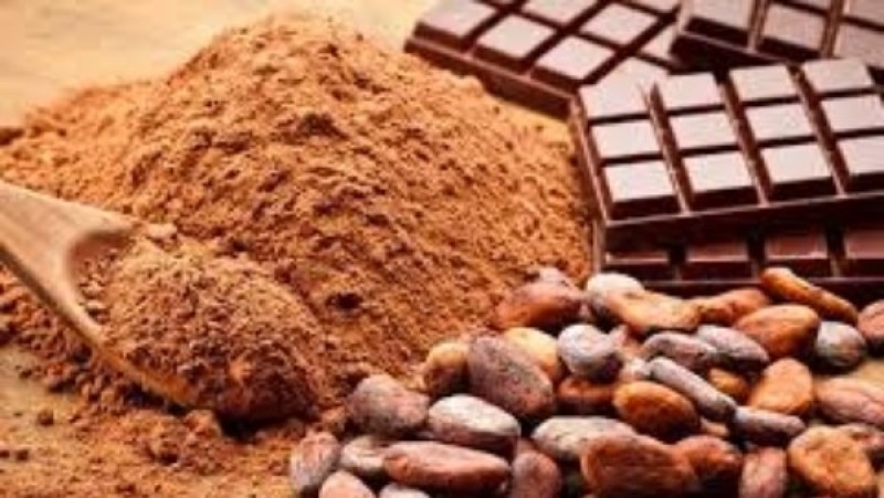 هبوط حاد في أسعار الكاكاو مع لجوء المصدرين للتحوط ضد موسم الحصاد