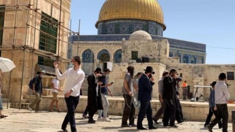 مستوطنون يقتحمون المسجد الأقصى المبارك بحماية شرطة الاحتلال