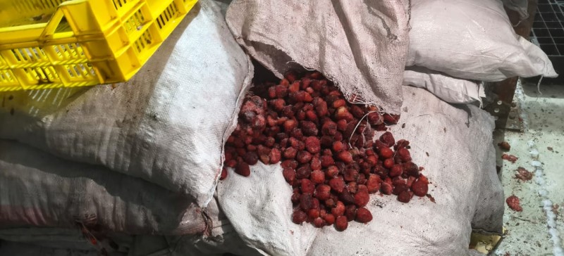 ضبط 27.5 طن منتجات منتهية الصلاحية في حملة مكبرة للهيئة القومية لسلامة الغذاء بالتنسيق مع مباحث تموين الدقهلية