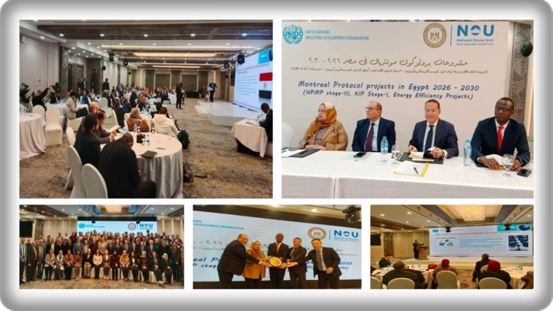 «البيئة» تعقد ورشة عمل لمناقشة مشروعات حماية طبقة الأوزون مع يونيدو