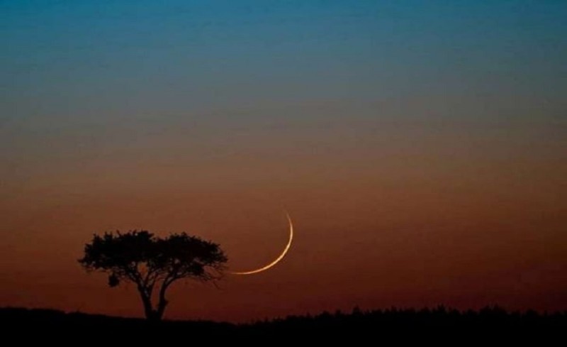 الإفتاء: بعد غد الثلاثاء أول أيام شهر شعبان لعام 1447 هجرية