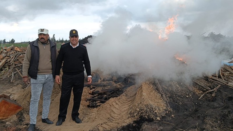 الدقهلية: إزالة ١٠٣ مكمورة فحم بمركز بلقاس