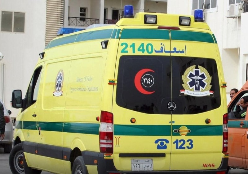 تسمم ١٠ أشخاص من أسرة واحدة في سوهاج .. بتناولهم فسيخ وملوحة