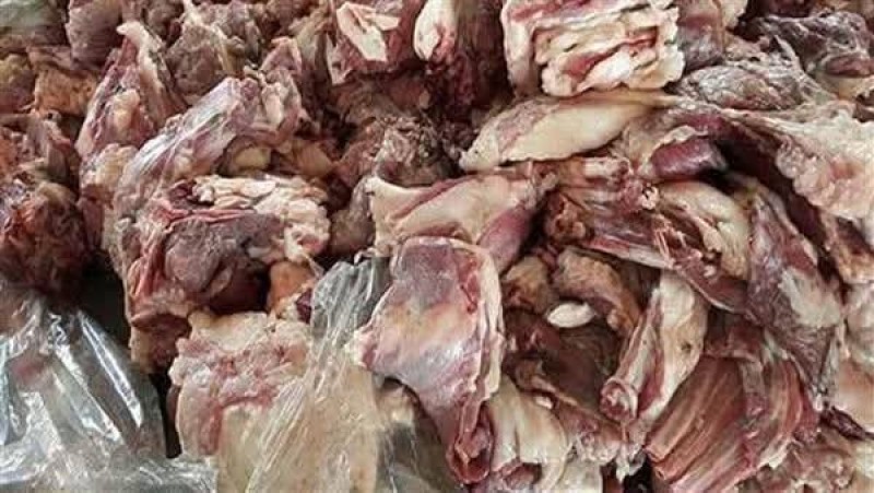 حملة تتحفظ على ٢٥ طن مصنعات ومقطعات لحوم ودواجن بإمبابة والوراق