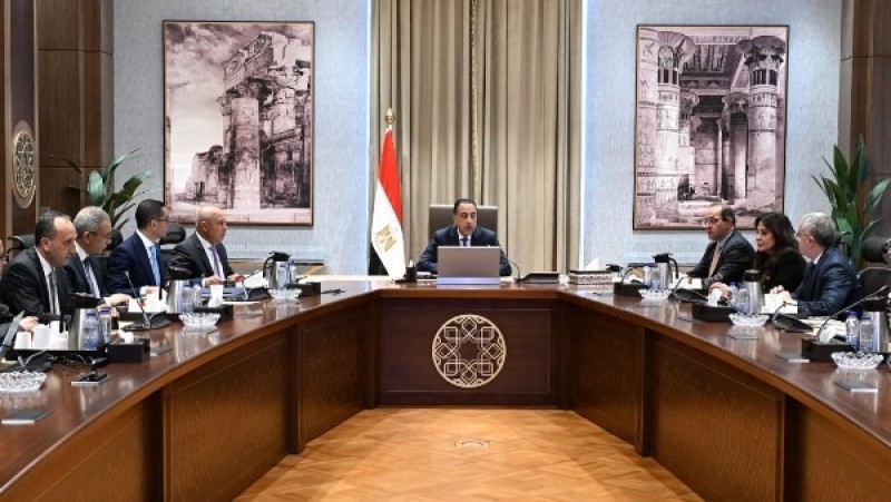 الحكومة تعتزم بناء قاعدة صناعية كبرى للسيارات في مصر باستثمارات عالمية