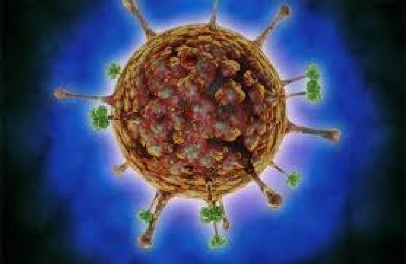 روشتة ذهبية لحماية أطفالنا من فيروس «HFMD»