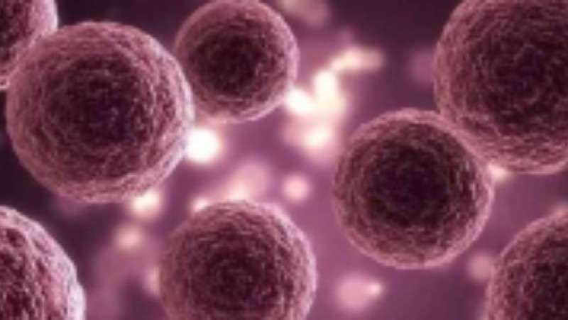 من أخطر التهديدات الوبائية.. حقيقة انتشار فيروس نيباه في روسيا