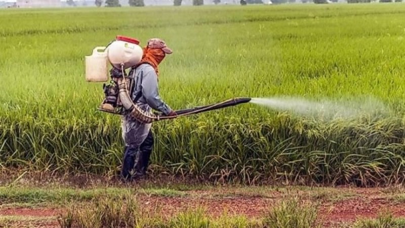 الزراعة تصفع مروجي شائعات ”المبيدات والهرمونات”: منتجاتنا آمنة وصادراتنا غزت العالم