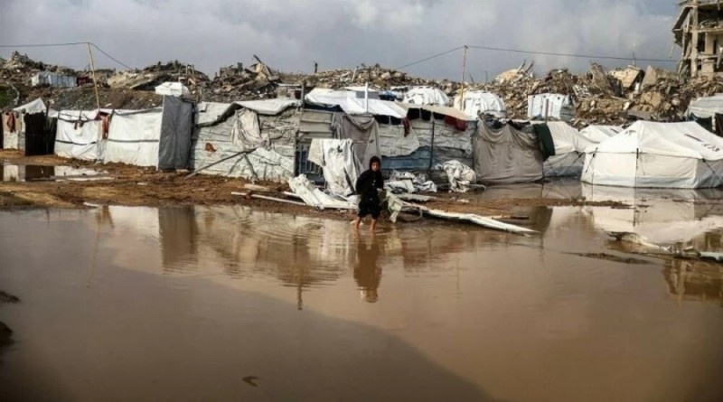 مأساة شتوية في غزة.. الأمم المتحدة: البرد القارس يقتل 11 طفلاً تجمداً والمساعدات لا تكفي