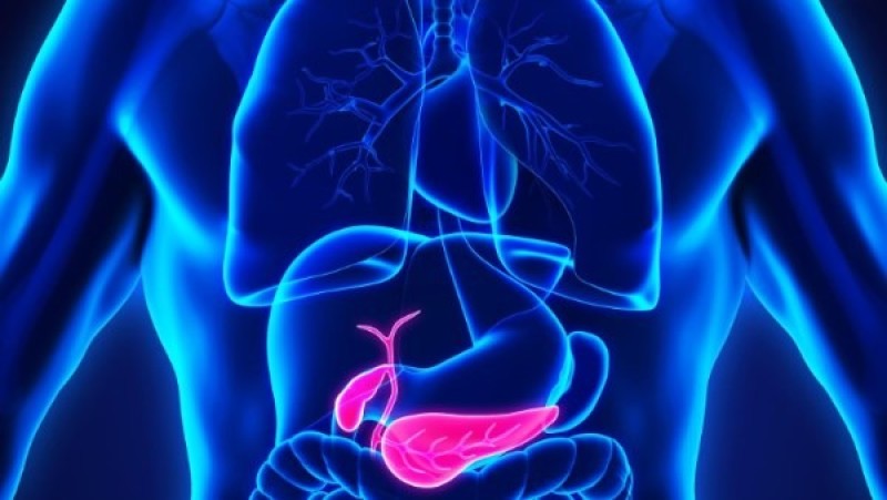 طفرة علمية جديدة.. علاج ثلاثي يقضي على سرطان البنكرياس