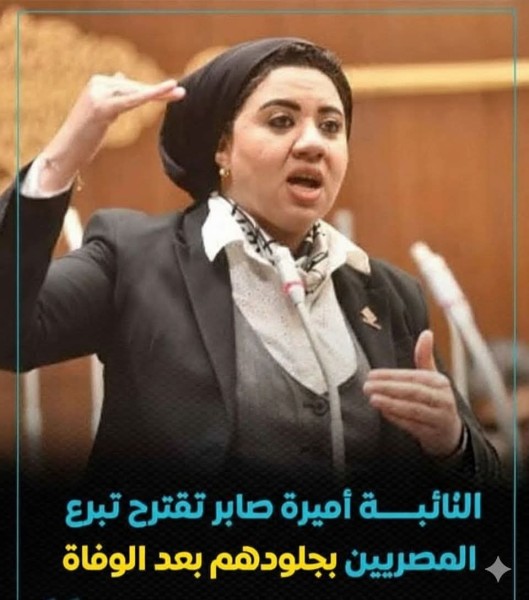 النائبة اميرة صابر تقترح تبرع المصريين بجلودهم بعد الوفاة