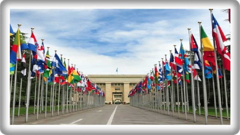 شبكة ”IPEN” تنتقد تعثر الهيئة الدولية للمواد الكيميائية في ”فخ الإجراءات” وتجاهل مخاطر السموم