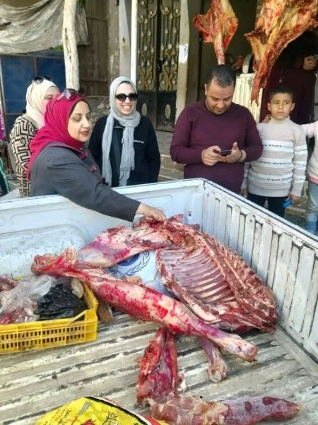 بيطري بني سويف يضبط لحم أحصنة قبل بيعها في محل جزارة