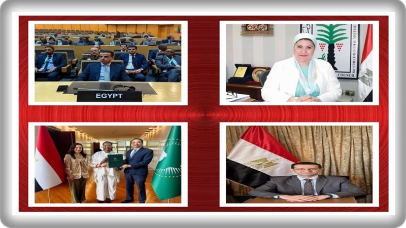 ننشر النتائج الكاملة لانتخابات أعمال المجلس التنفيذي لوزراء الافارقة في إثيوبيا