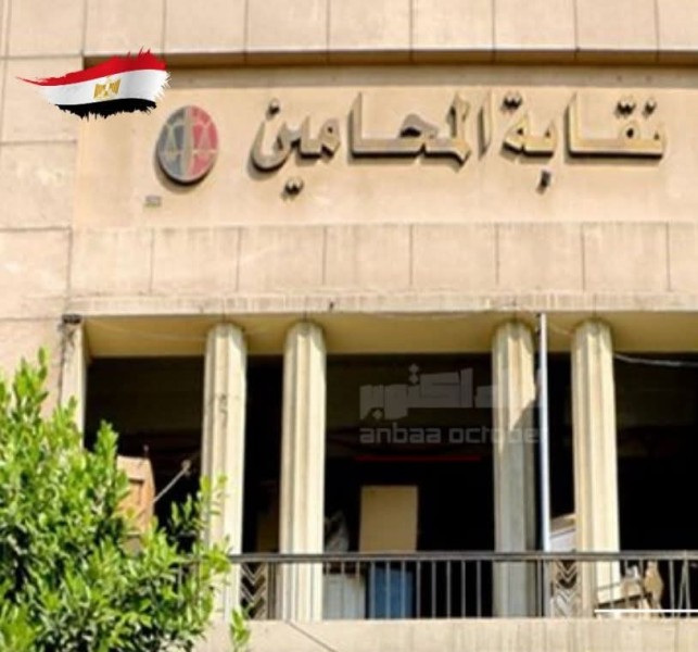 تصويت جولة الإعادة للمرحلة الثانية من انتخابات النقابات الفرعية للمحامين