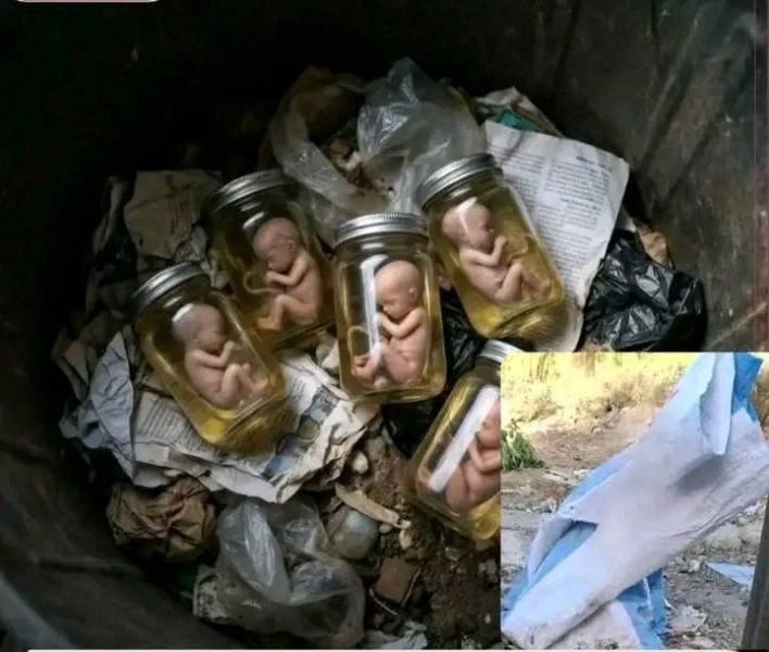 كشف لغز «أجنة كدوان» في المنيا وضبط المتورطين خلال ساعات