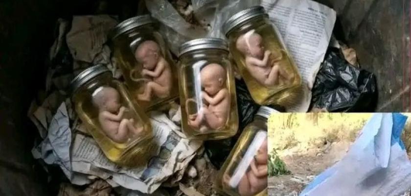 كشف لغز «أجنة كدوان» في المنيا وضبط المتورطين خلال ساعات