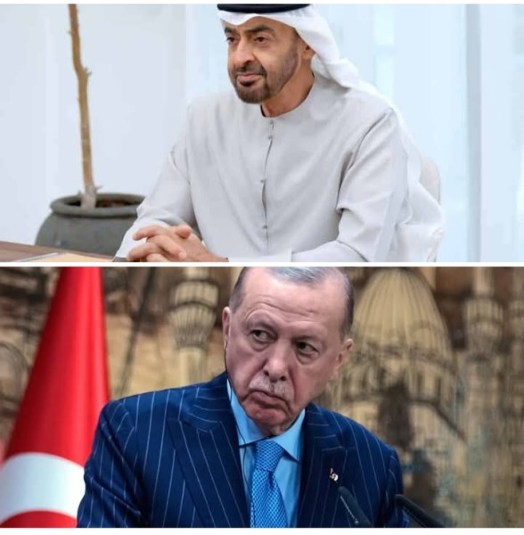 تضارب الأقوال حول أسباب تأجيل زيارة الرئيس التركي للامارات العربية اليوم