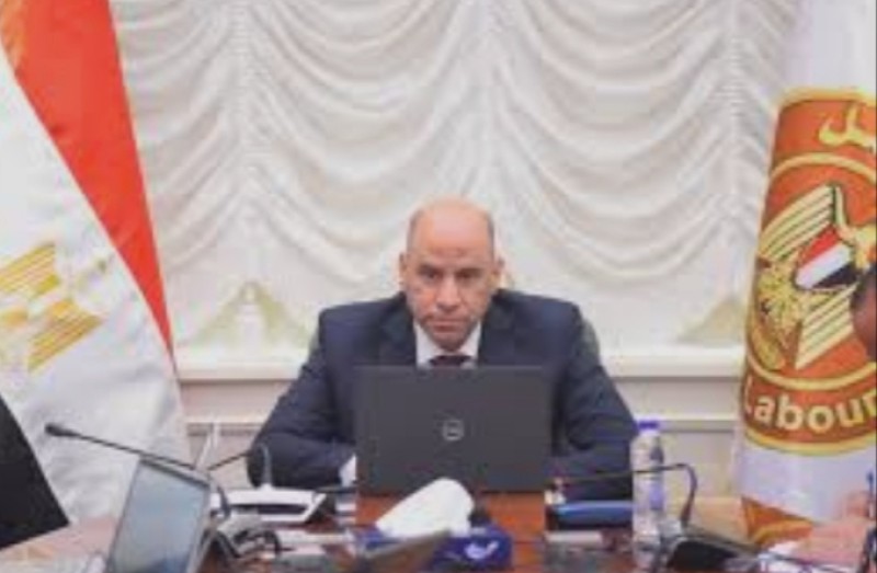 من هو حسن رداد وزير العمل المصري الجديد