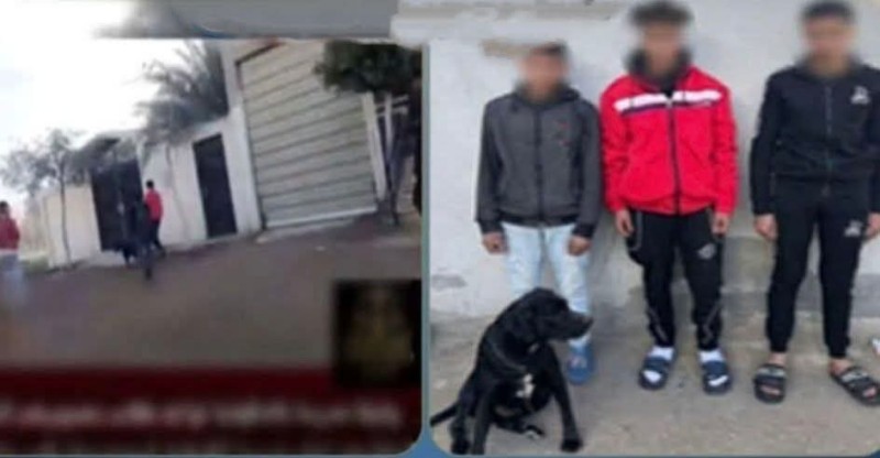 القبض على ٣ طلاب بمركز بلقاس تعدوا بالسب على معلمة وبرفقتهم كلب