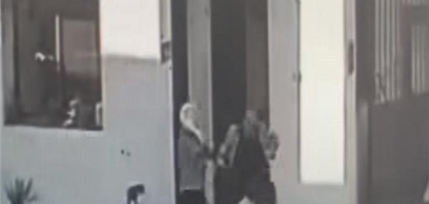 الزراعة توقف موظفة بالغربية عن العمل وتحيلها للنيابة بتهمة التعدي على زميلها