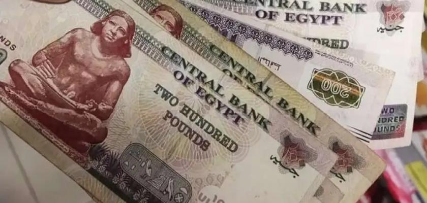 1500 جنيه.. العمل تحدد الفئات المستحقة وطريقة الحصول على المنحة