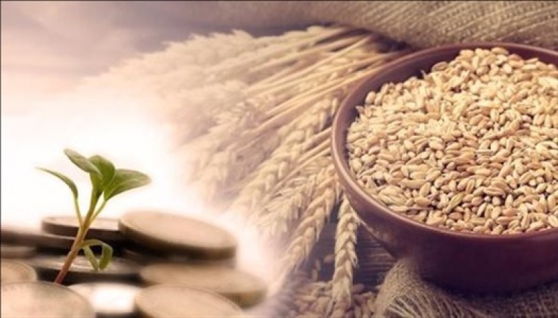 زكاة الفطر 2026.. هل يجوز عدم إخراجها لمن عليه دين؟