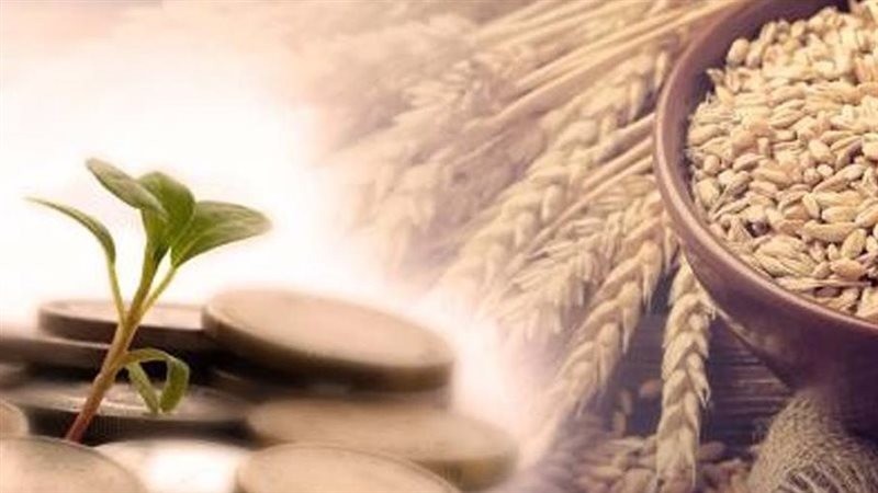 هل يجوز إخراج زكاة الفطر عن الأبناء الكبار؟ أمين الفتوى يجيب