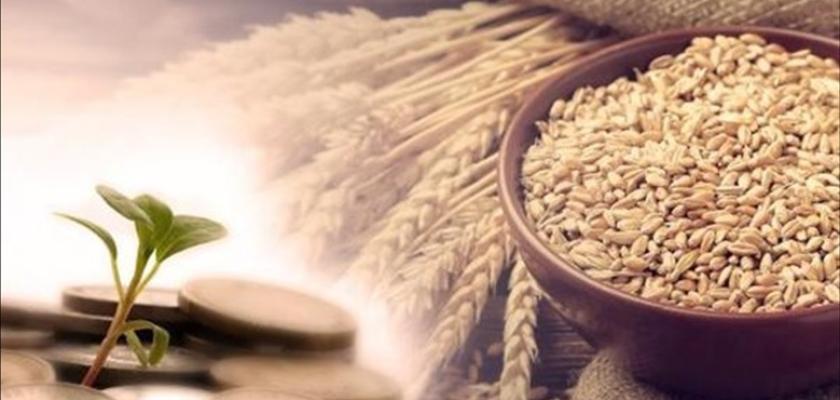 هل يجوز إخراج زكاة الفطر2026 فلوس؟