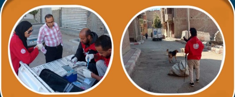 تحصين ٤٨ كلبا ضالا خلال حملات لمديرية الطب البيطري بمدينة قنا .. استجابة لشكاوى الاهالي