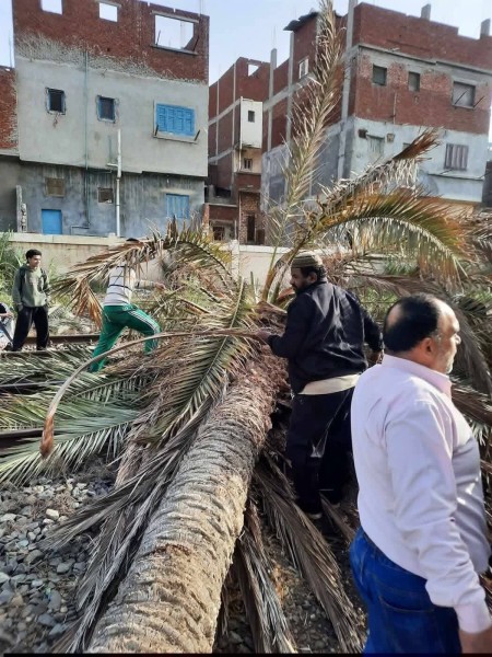 توقف حركة القطارات بالإسكندرية