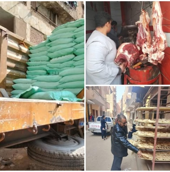 تموين المنيا: تحرير ٢٠٦ مخالفات تموينية وضبط ٢٠٠ كجم فراخ فاسدة ونقص وزن في دقيق مدعم خلال حملات رقابية مكثفة