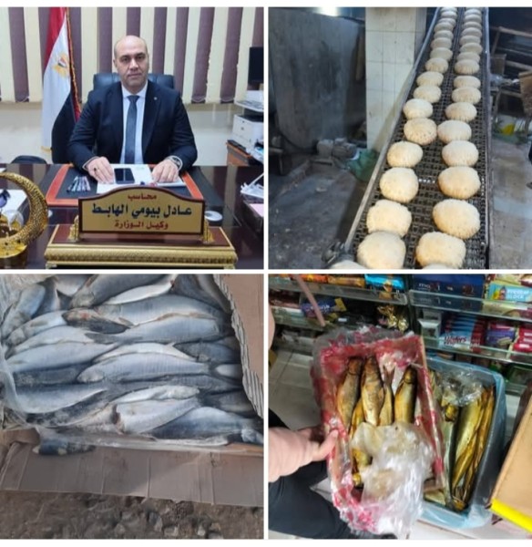ضبط لحوم فاسدة وأطنان أغذية مجهولة المصدر في ضربات موجعة للمخالفين بأسواق كفر الشيخ