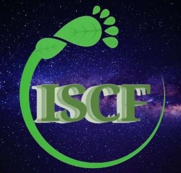 معهد الاستدامة والبصمة الكربونية يُطلق المدرسة الصيفية لسفراء المناخ من منصة بناء القدرات للأمم المتحدة